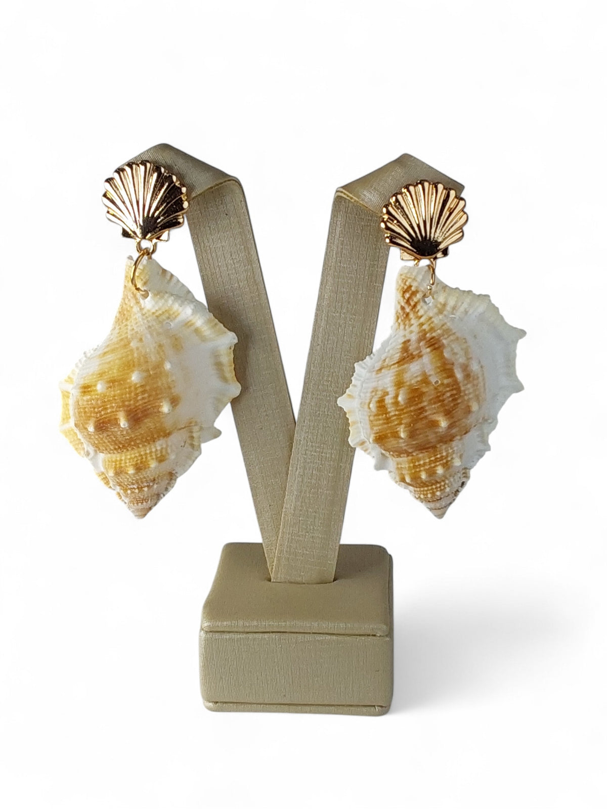 Brinco Maria Concha Encantada Semijoia