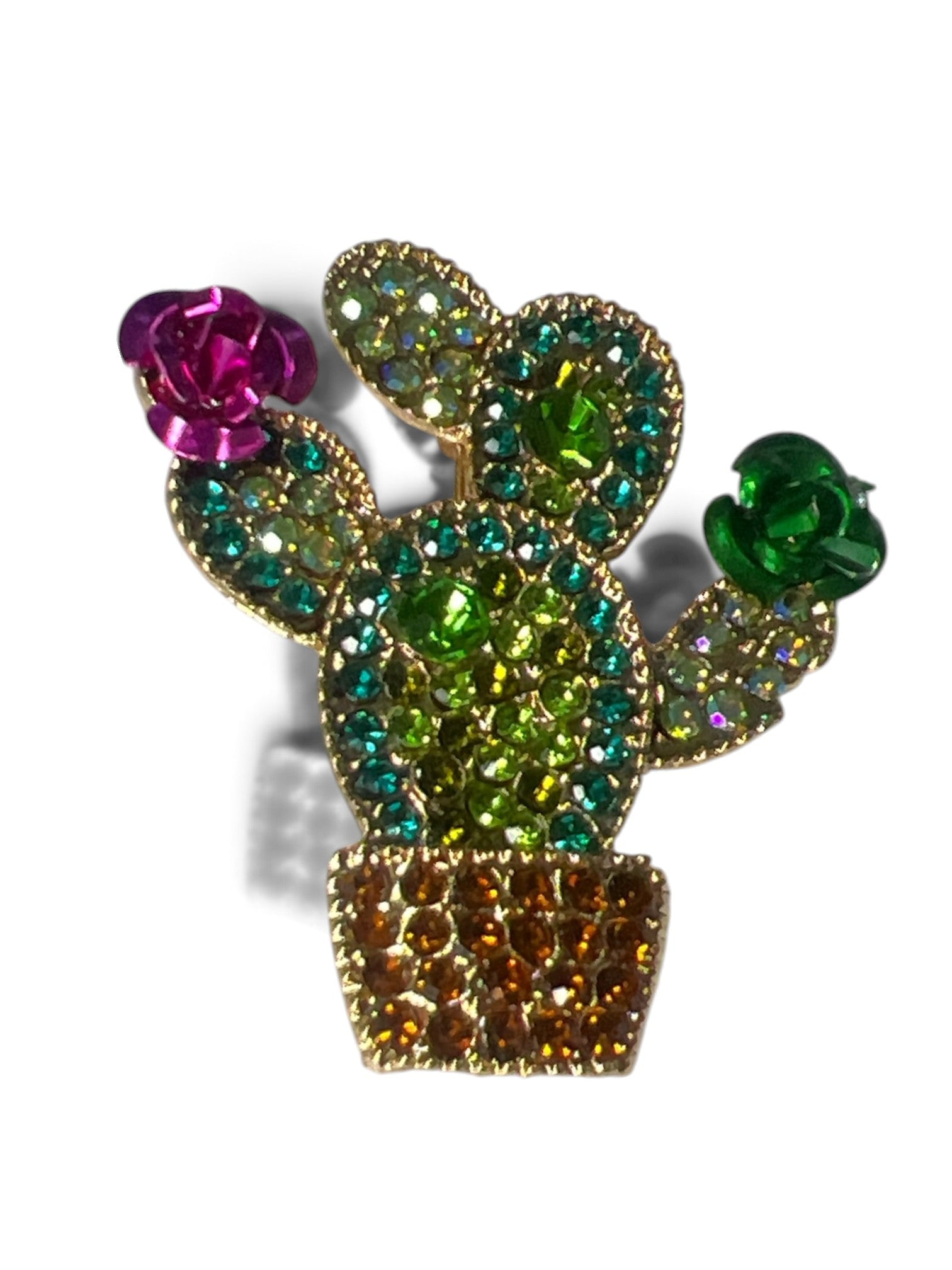 Broche Cacto